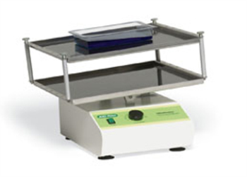 GEL STAINING