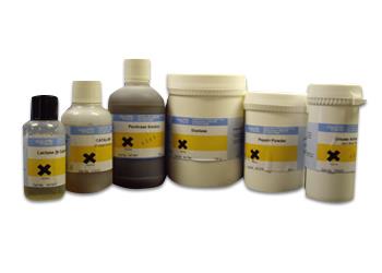 ENZYMES