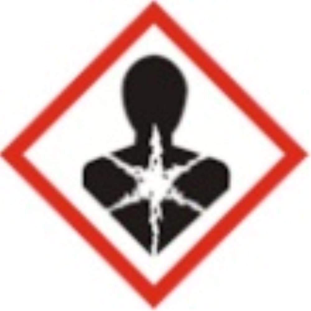 Ghs08